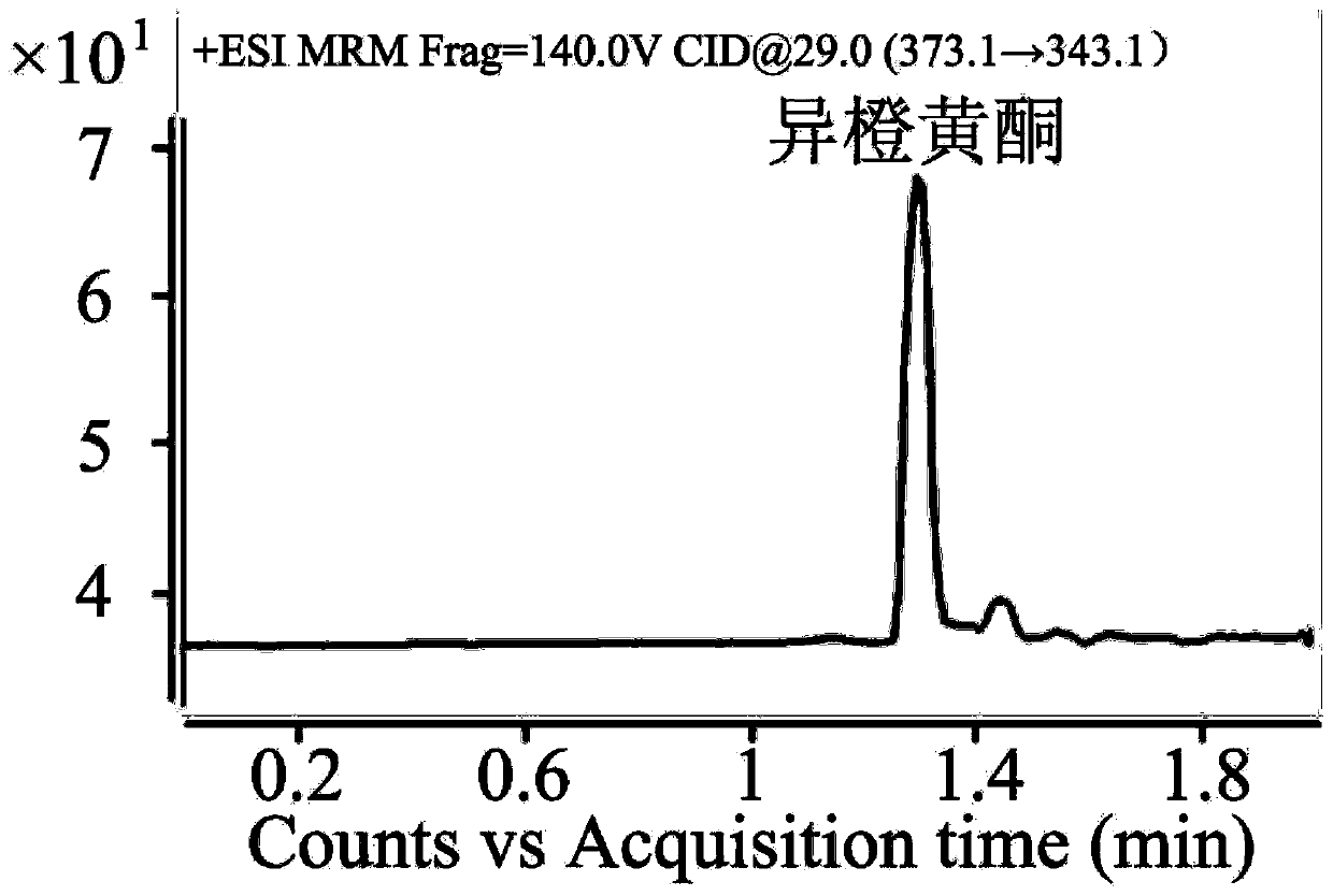 Method for detecting content of isoorange flavones in blood plasma