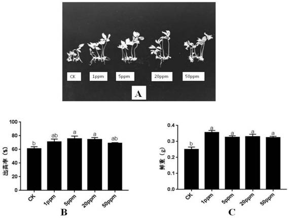 Application of D-pinitol in promoting growth of panax notoginseng and inducing resistance