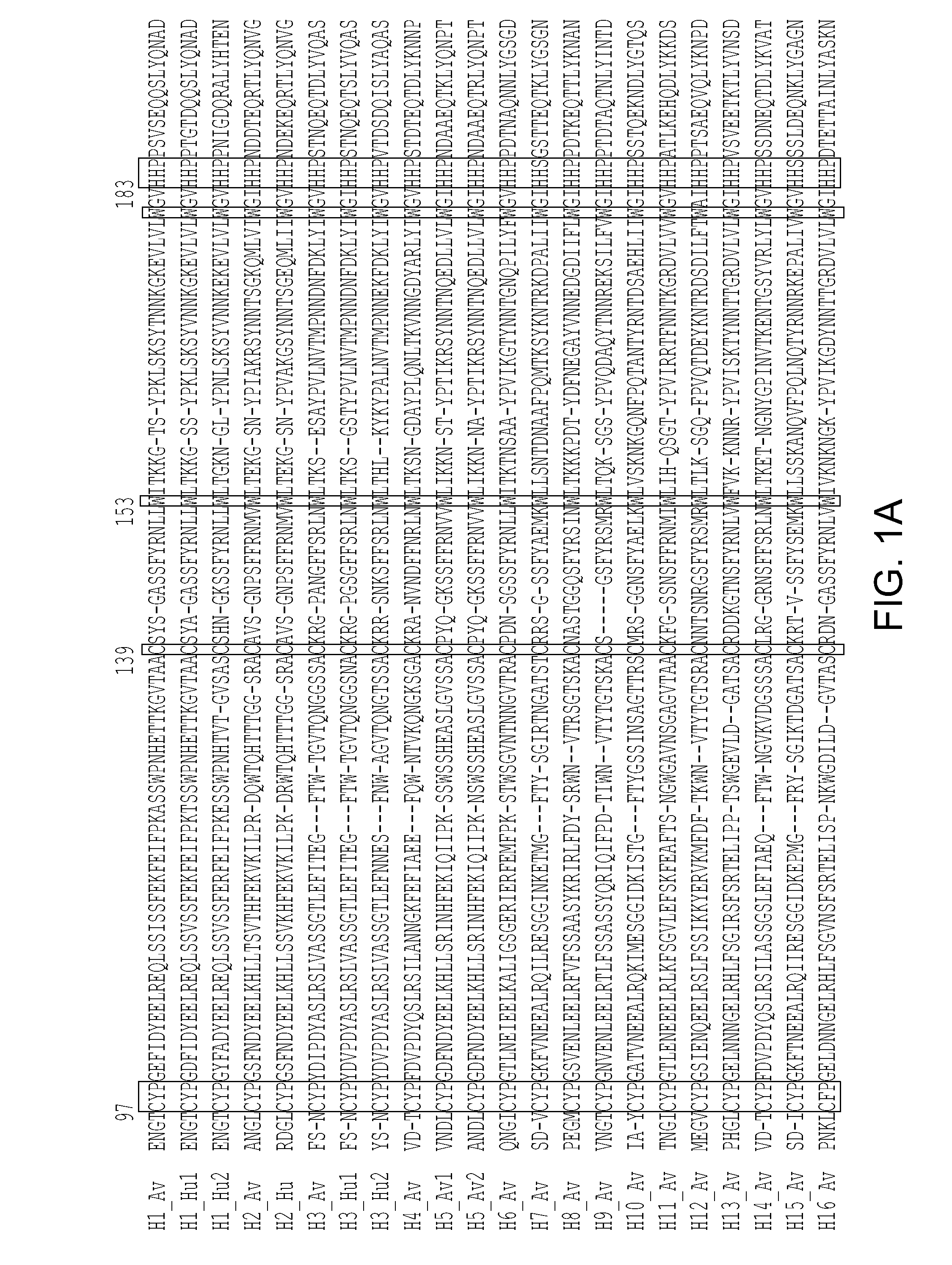 Compositions and methods for diagnosing and/or treating influenza infection