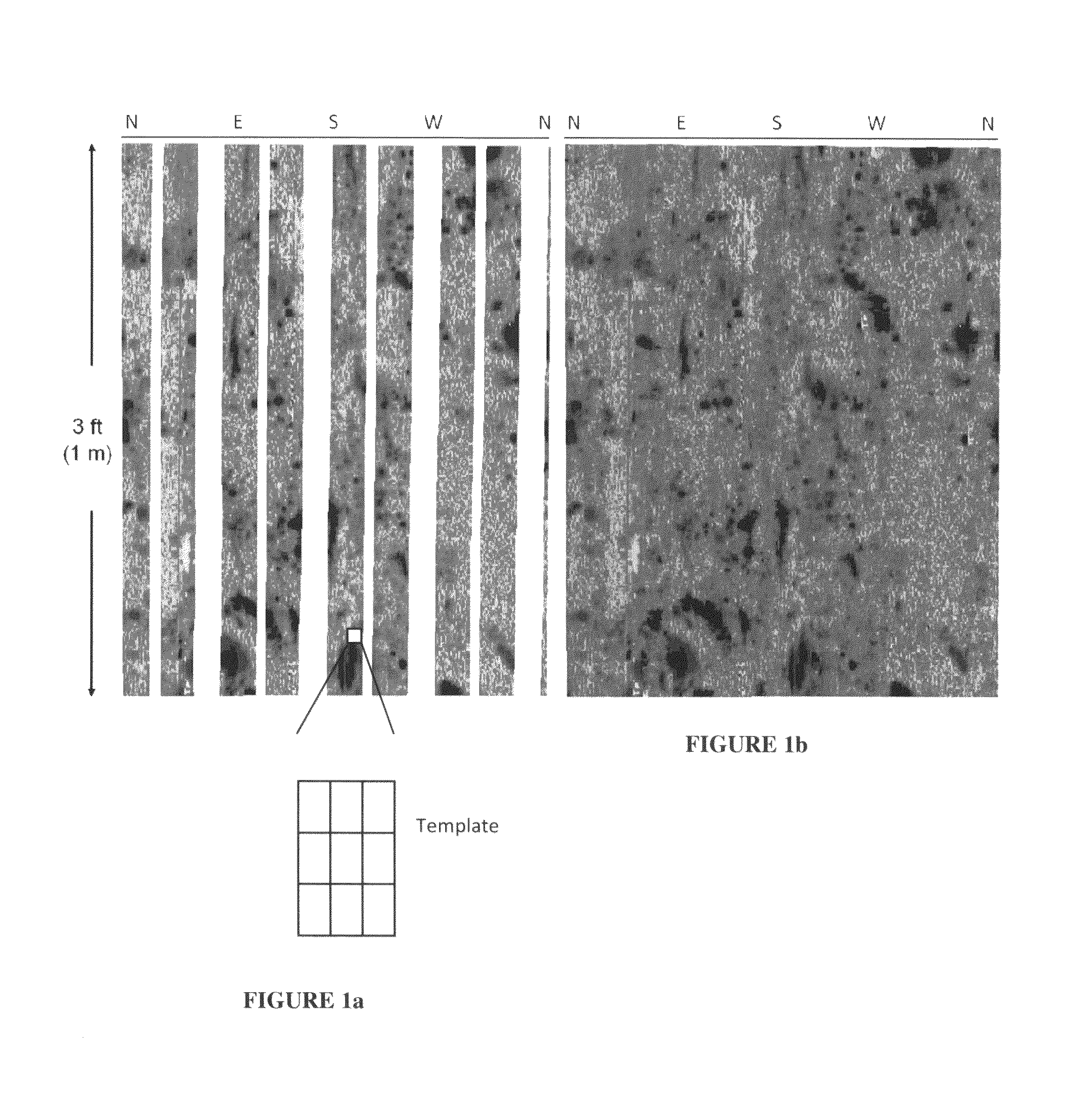 Method to generate numerical pseudocores using borehole images, digital rock samples, and multi-point statistics