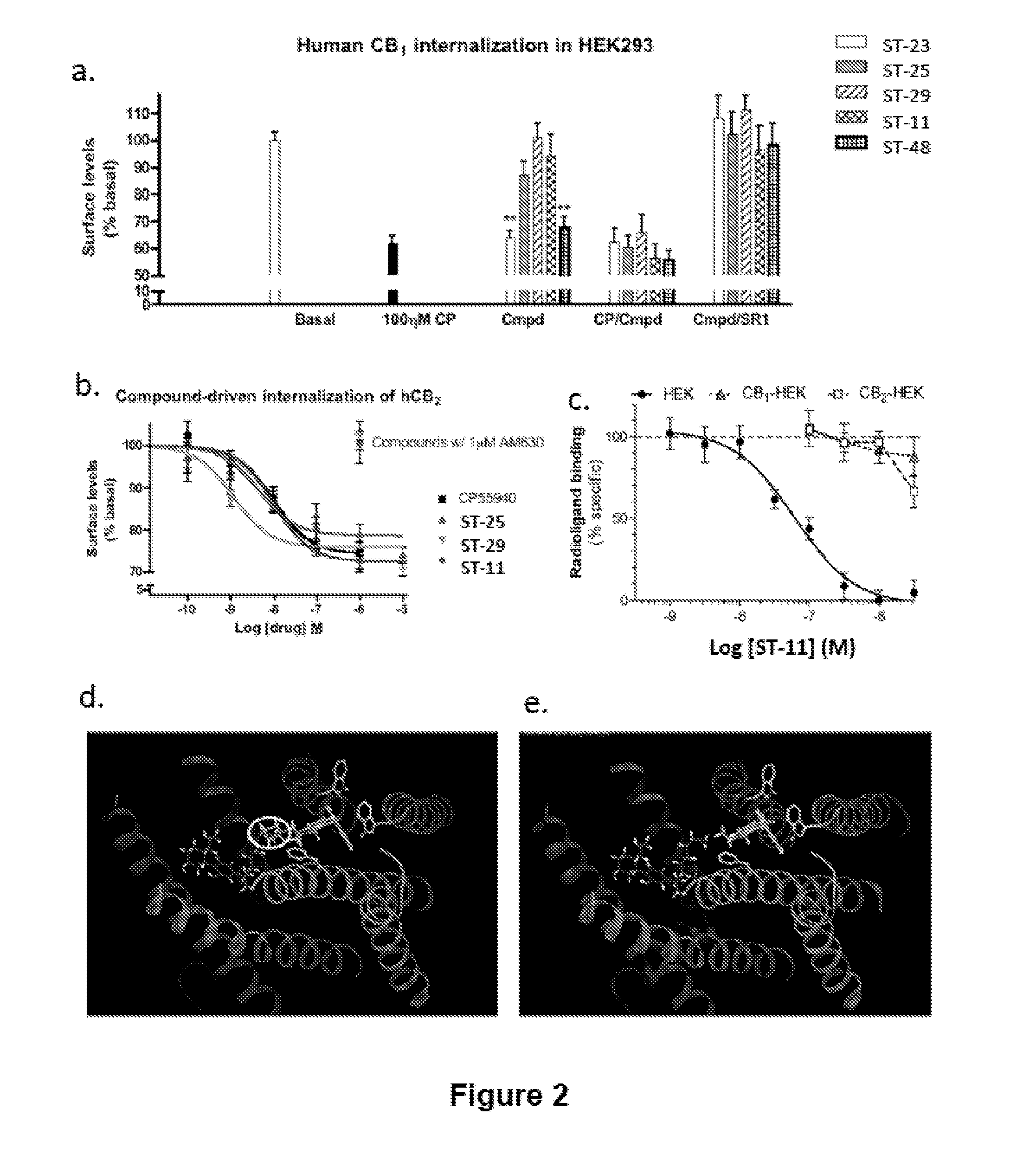 Compositions and Methods for Treating Malignant Astrocytomas