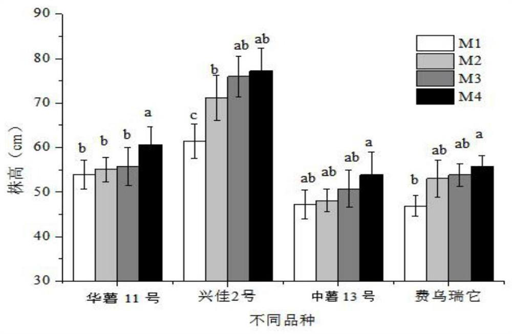 Synchronous fertilization method under triple cropping production of red soil rice field
