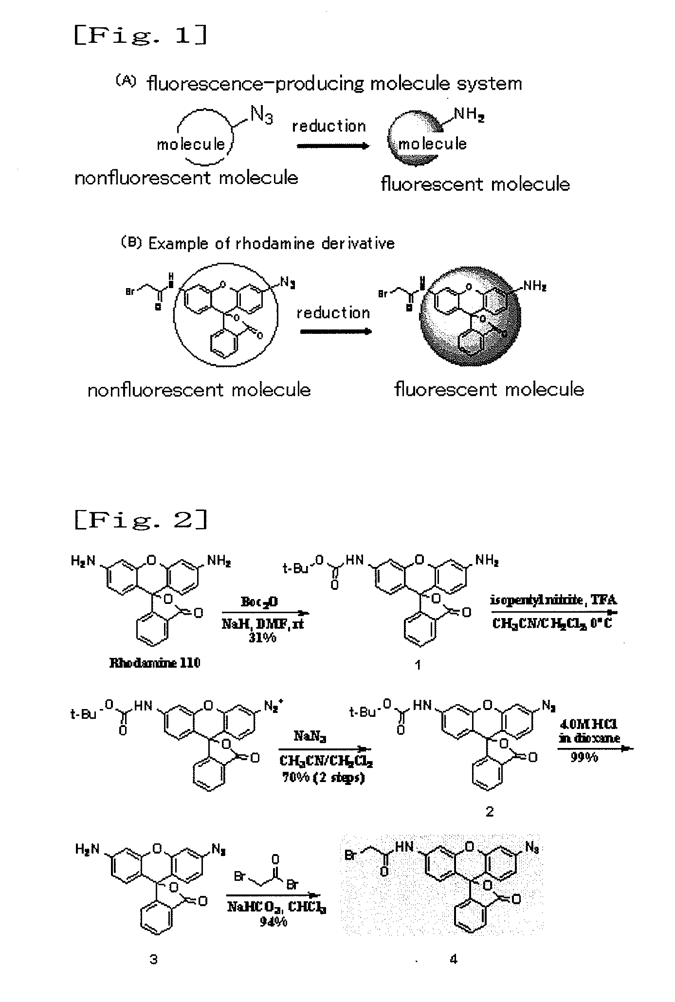 Fluorescence-producing molecule