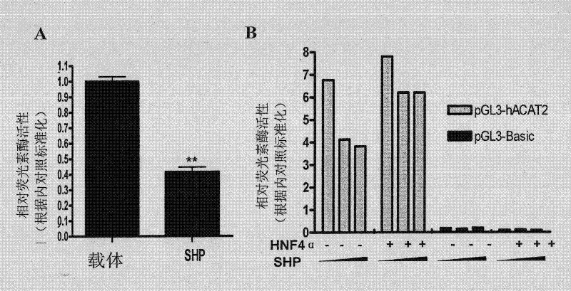 Application of minimal heterodimer partner in blood lipid regulation