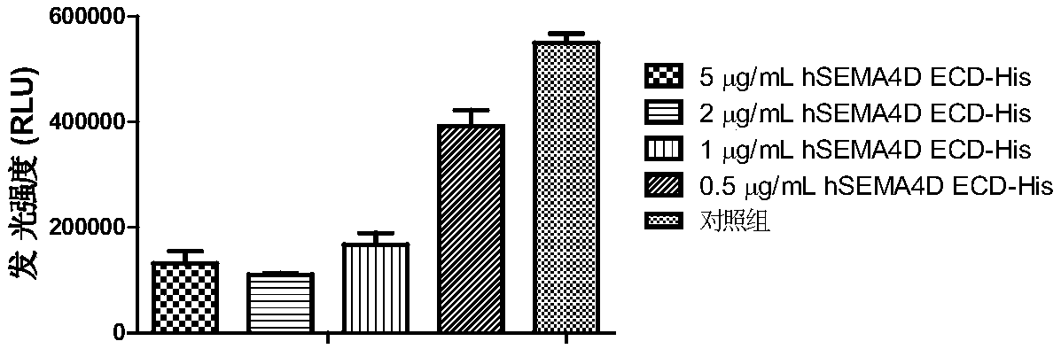 SEMA4D antibody, preparation method and application thereof