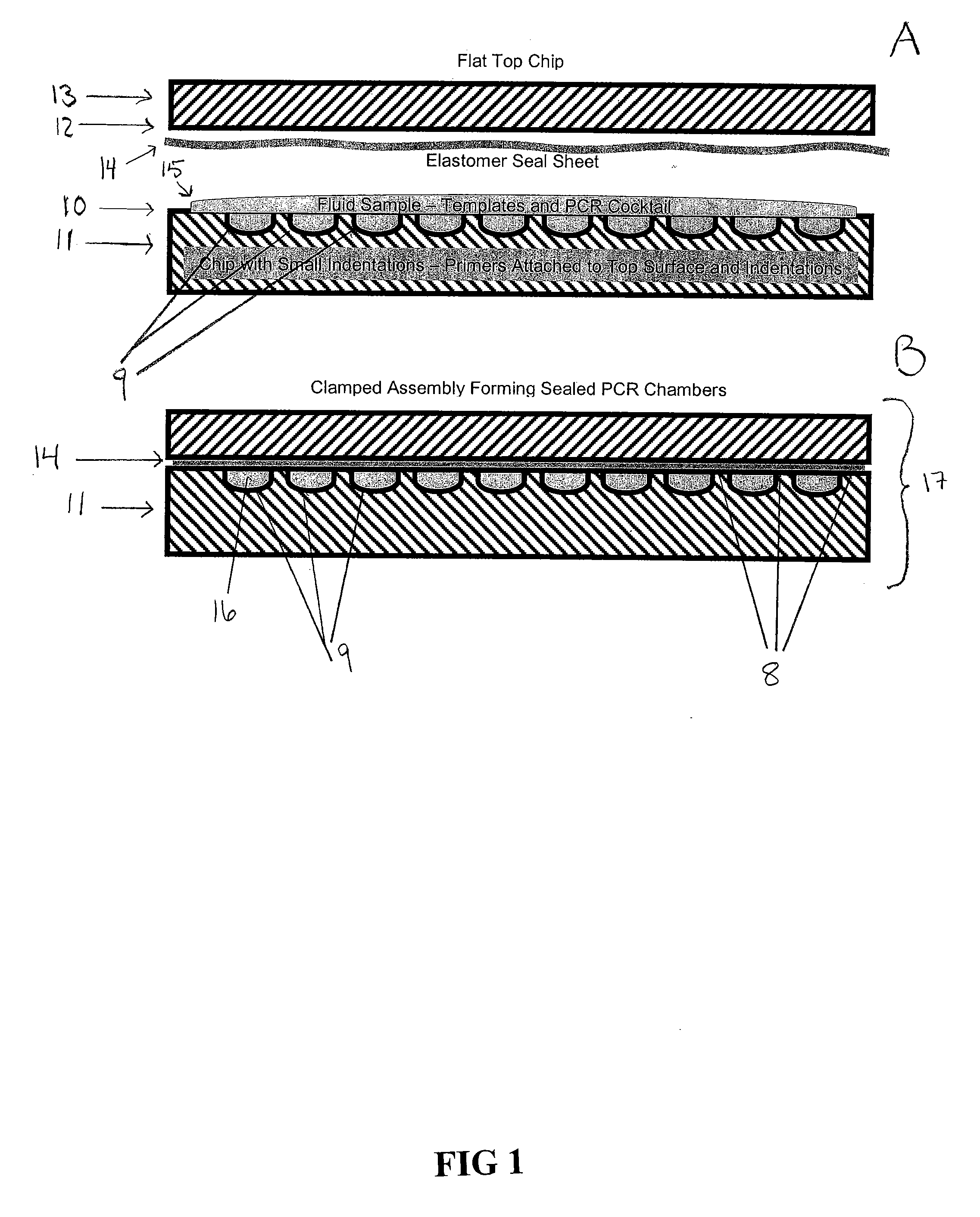 Methods And Devices For Amplification Of Nucleic Acid