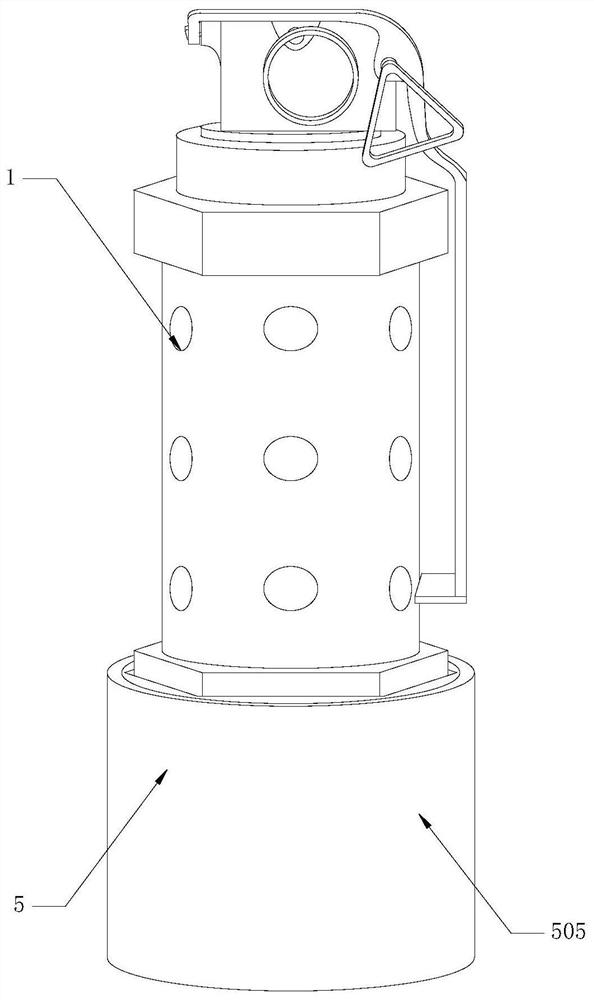 Flashing bomb with temporary anesthesia function