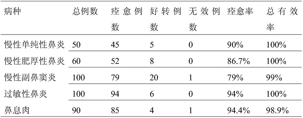 Traditional Chinese medicine composition for treating rhinitis and preparation method thereof
