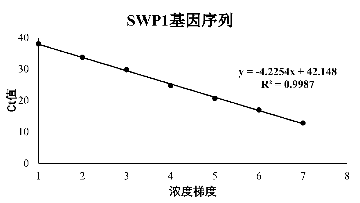 Fluorescent quantitative PCR (polymerase chain reaction) method for detecting enterocytozoon hepatopenaei of prawns and corresponding kit