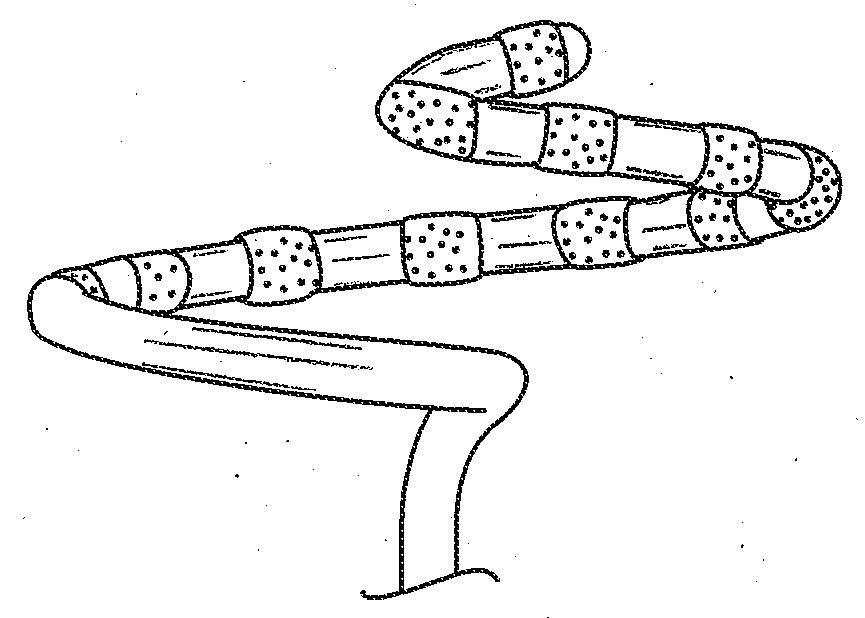 Catheter with tapered support member for variable arcuate distal assembly