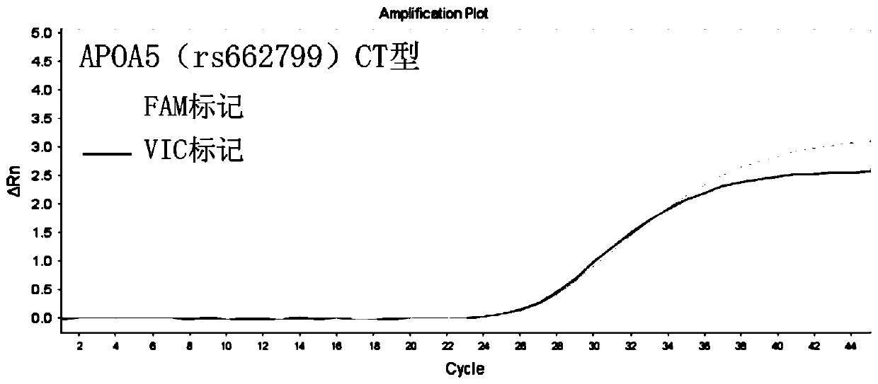 Primer combination used for guiding lovastatin drug individualized medication related gene detection and kit and method