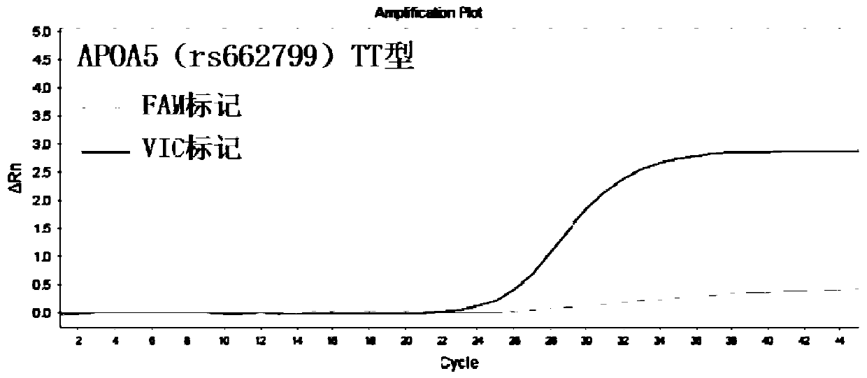 Primer combination used for guiding lovastatin drug individualized medication related gene detection and kit and method