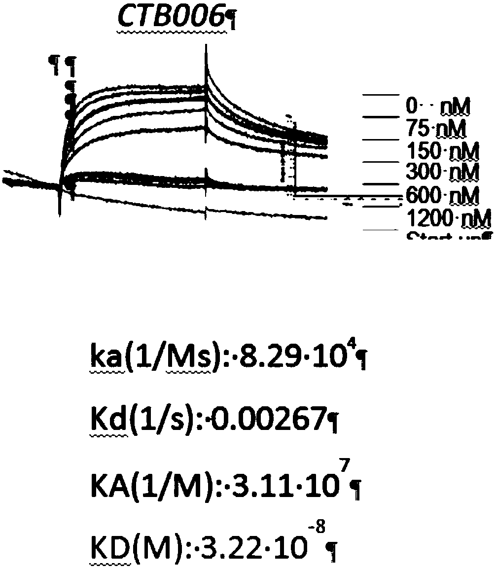 Trail receptor-binding agents and uses of same