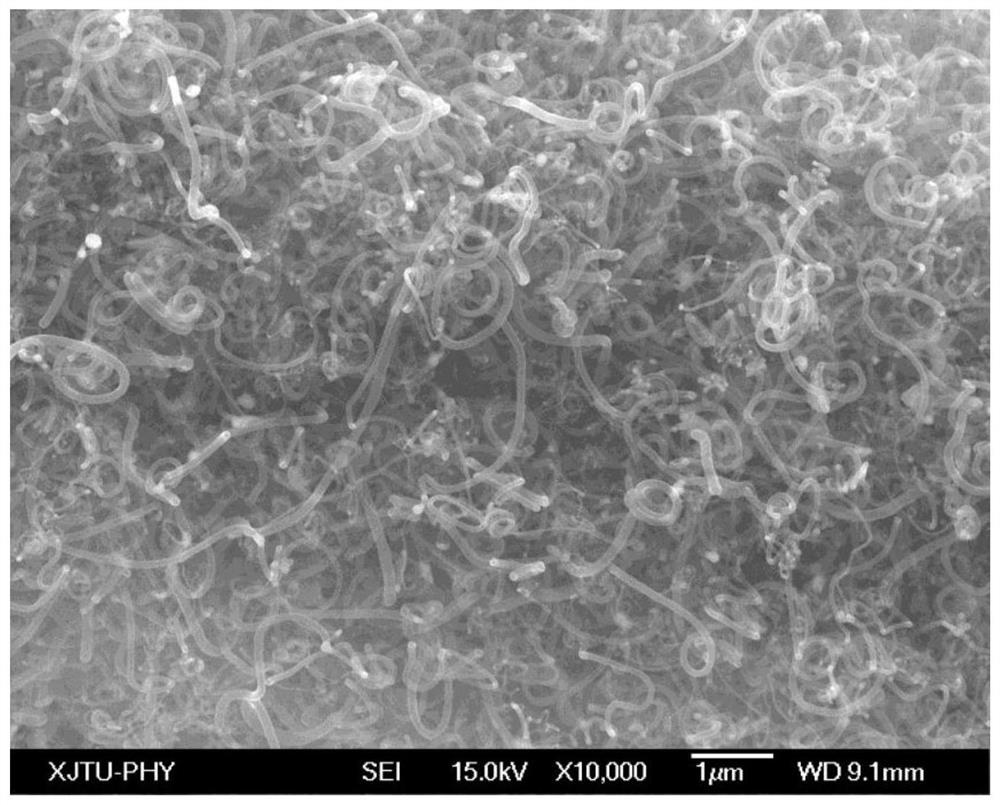 A method for preparing carbon nanotubes from coal
