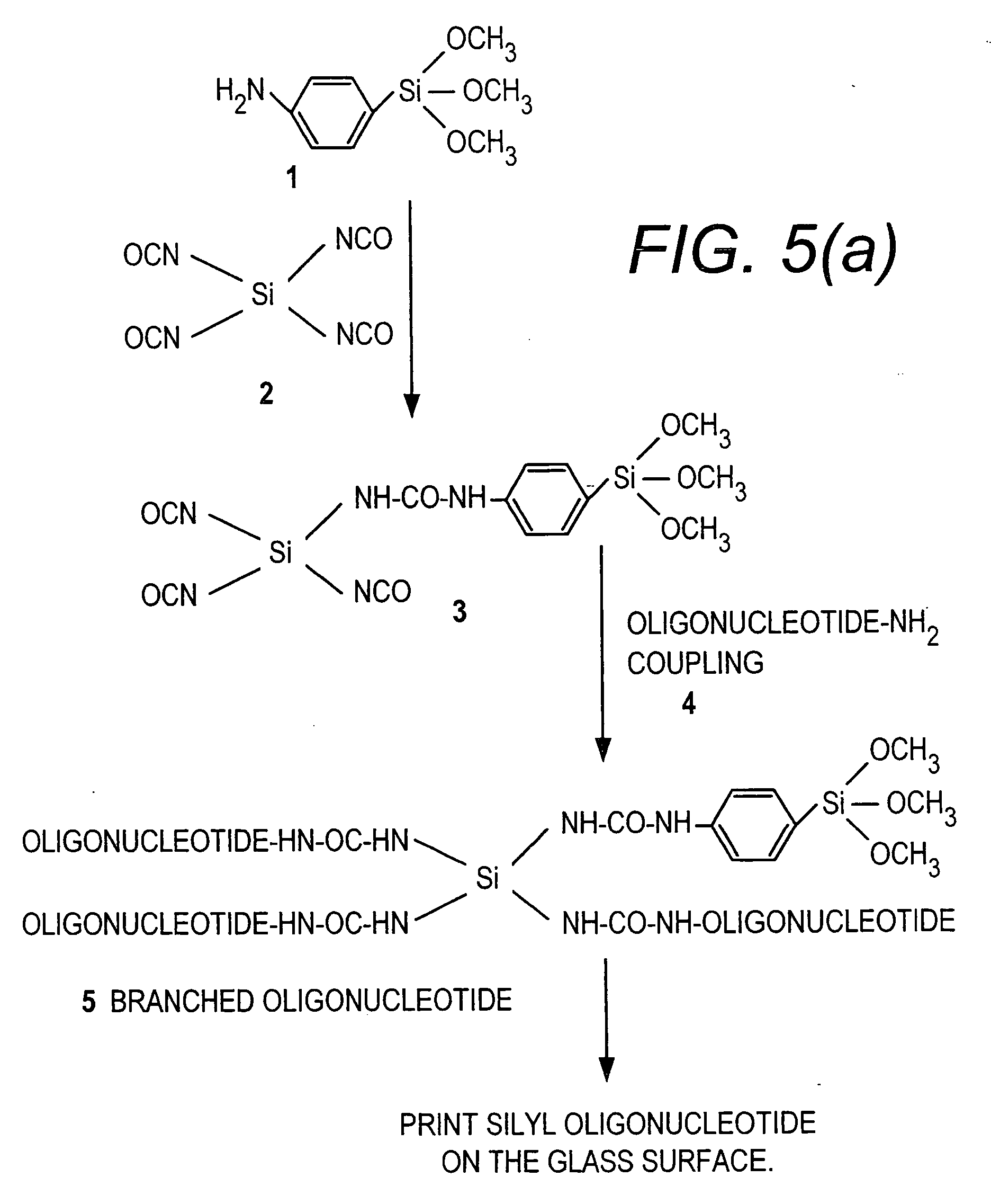 Method for attachment of silylated molecules to glass surfaces