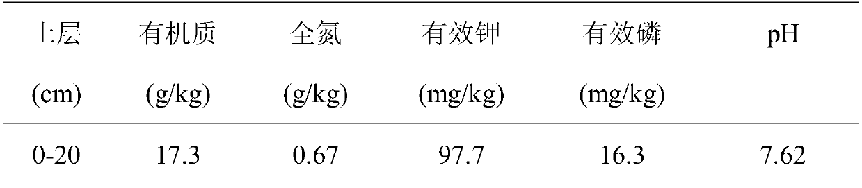 Tomato fertilizer, and using method and application thereof