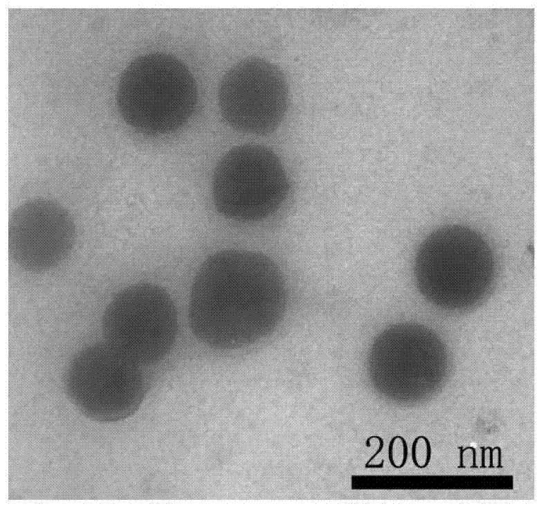 Preparation method of polymer-rare earth ion luminous micelles