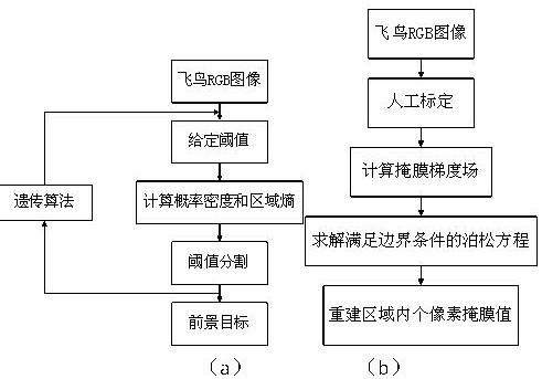 Bird-based high-frame-frequency sequence image abundance statistics and population identification algorithm