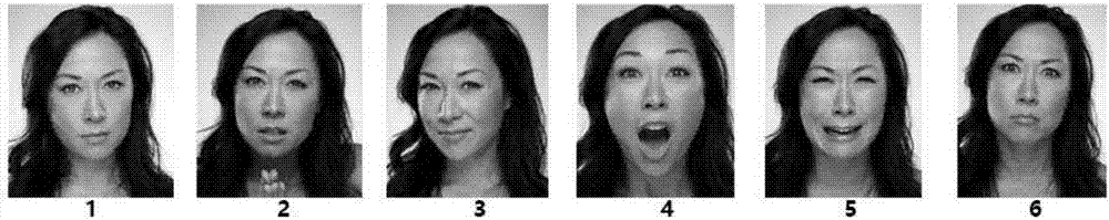 Method of micro facial expression detection based on facial action coding system (FACS)