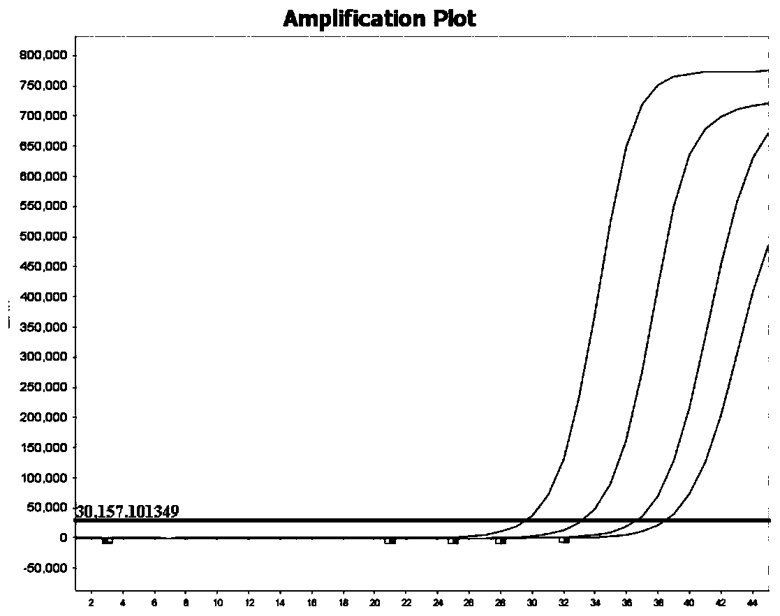 Kit for respiratory pathogen multiple nucleic acid detection