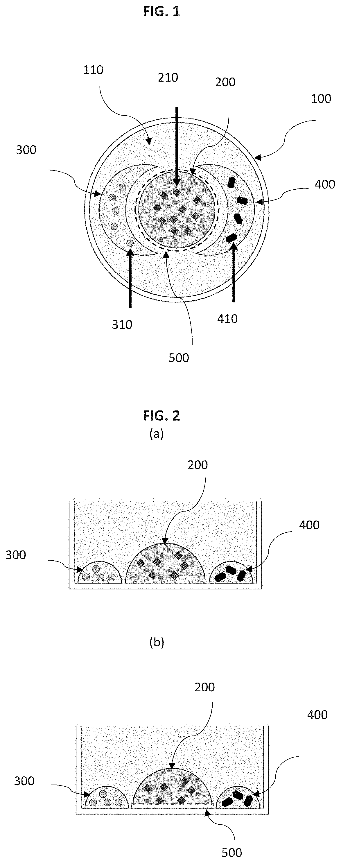 Method and system for hair regrowth using 3D organoid system of hair follicle stem cell