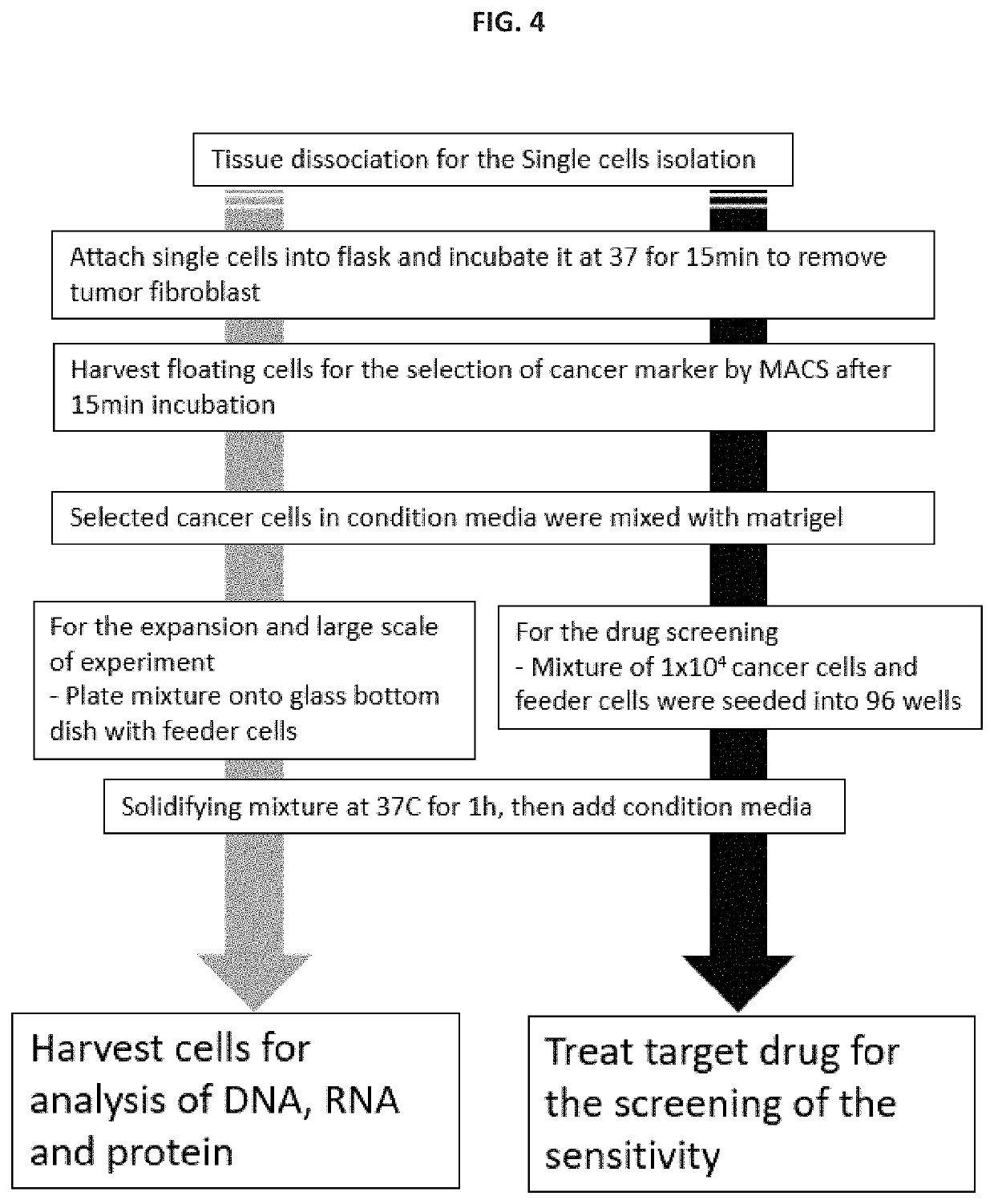 Method and system for hair regrowth using 3D organoid system of hair follicle stem cell