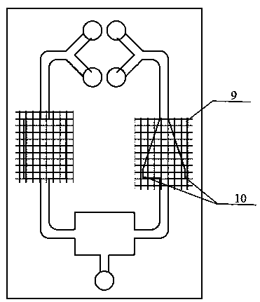 A method of using a biochip for shear force experiments