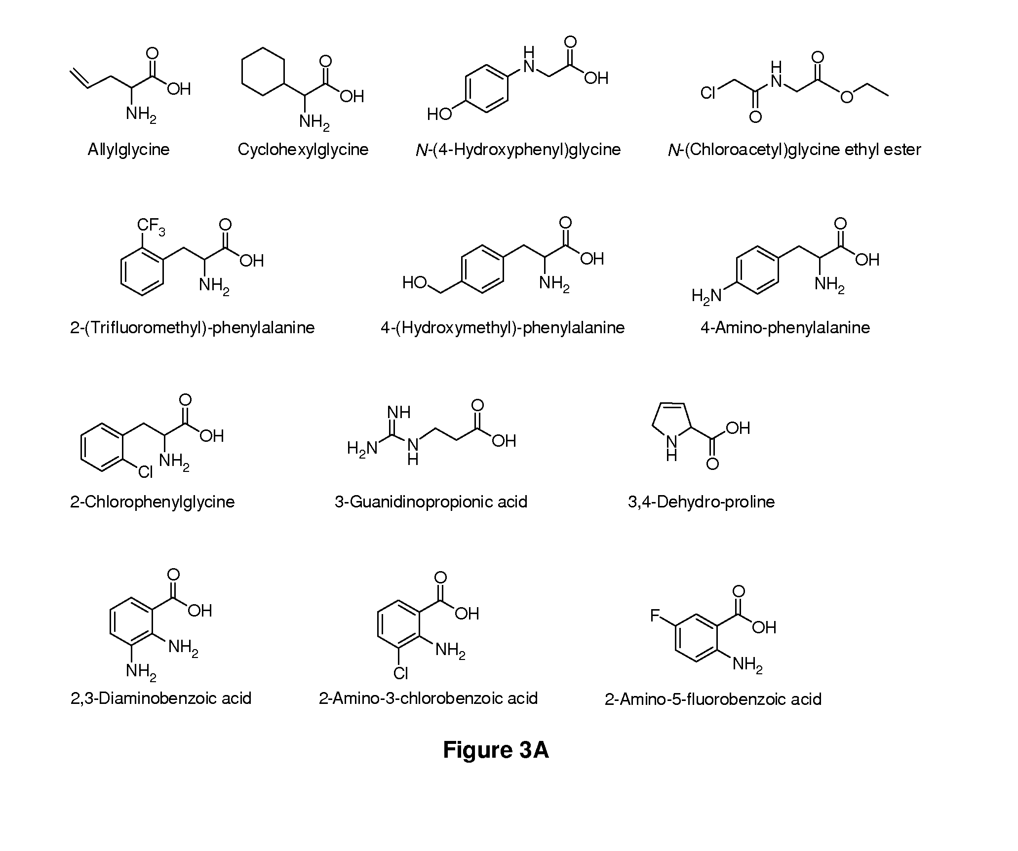 Amino Acid Conjugates of Quetiapine, Process for Making and Using the Same