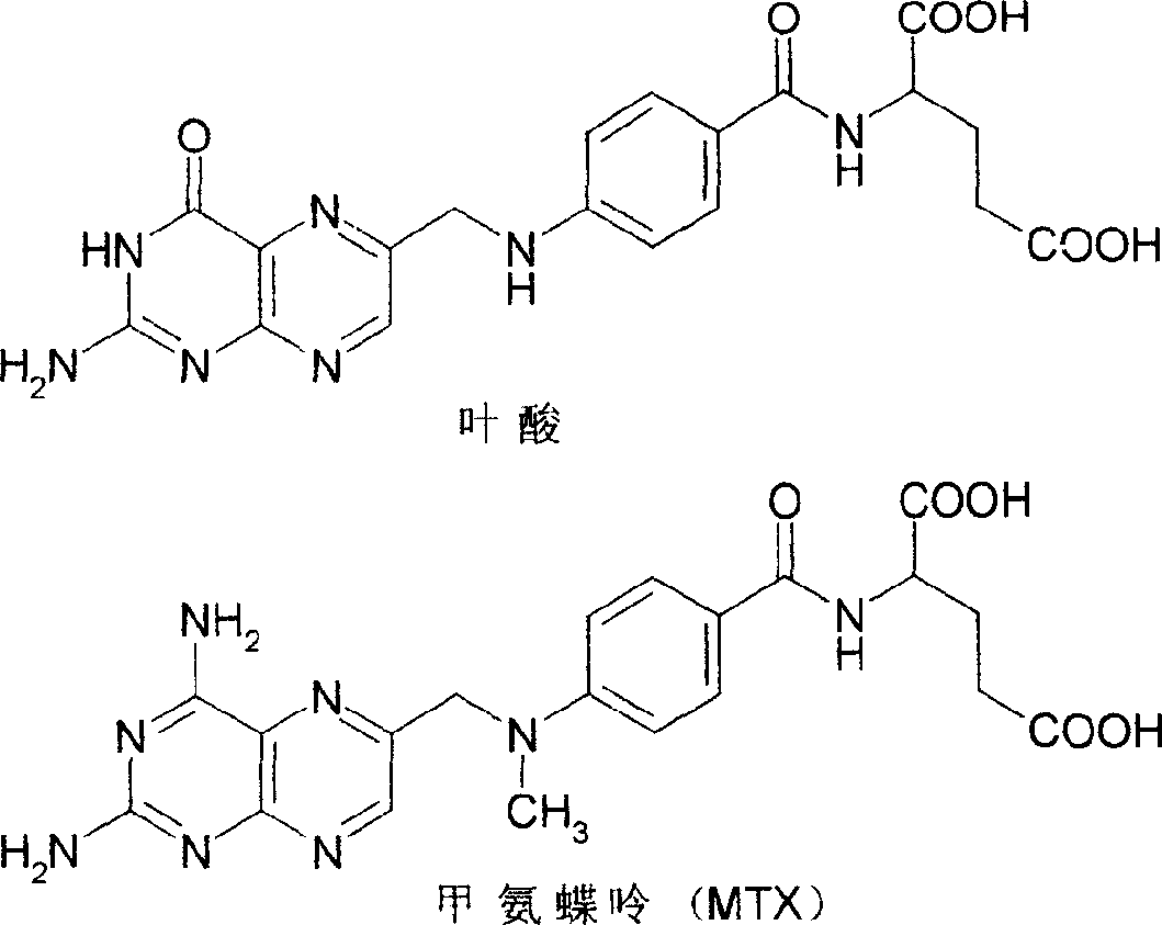 Methylamino-pterin derivative with inhibiting nitric oxide synthetase function