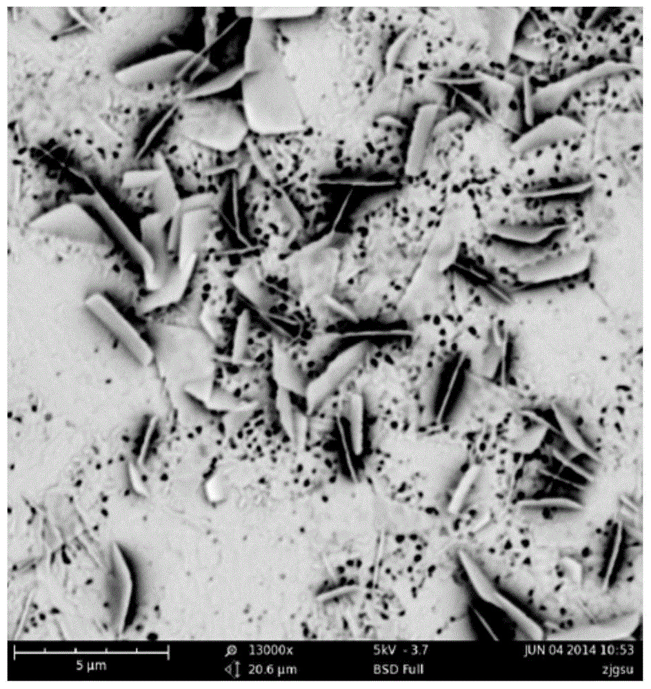 a bi  <sub>2</sub> o  <sub>3</sub> -bioi heterojunction visible light responsive photocatalyst and preparation method thereof