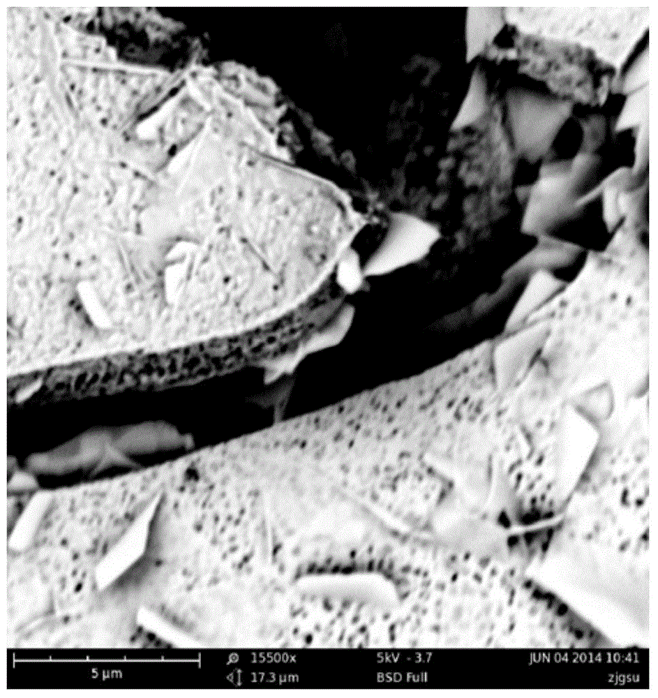 a bi  <sub>2</sub> o  <sub>3</sub> -bioi heterojunction visible light responsive photocatalyst and preparation method thereof