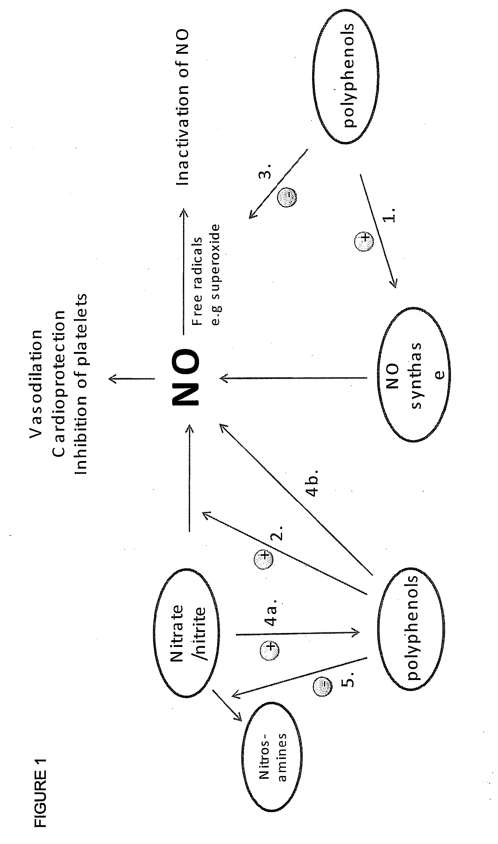 Performance enhancing composition and use thereof