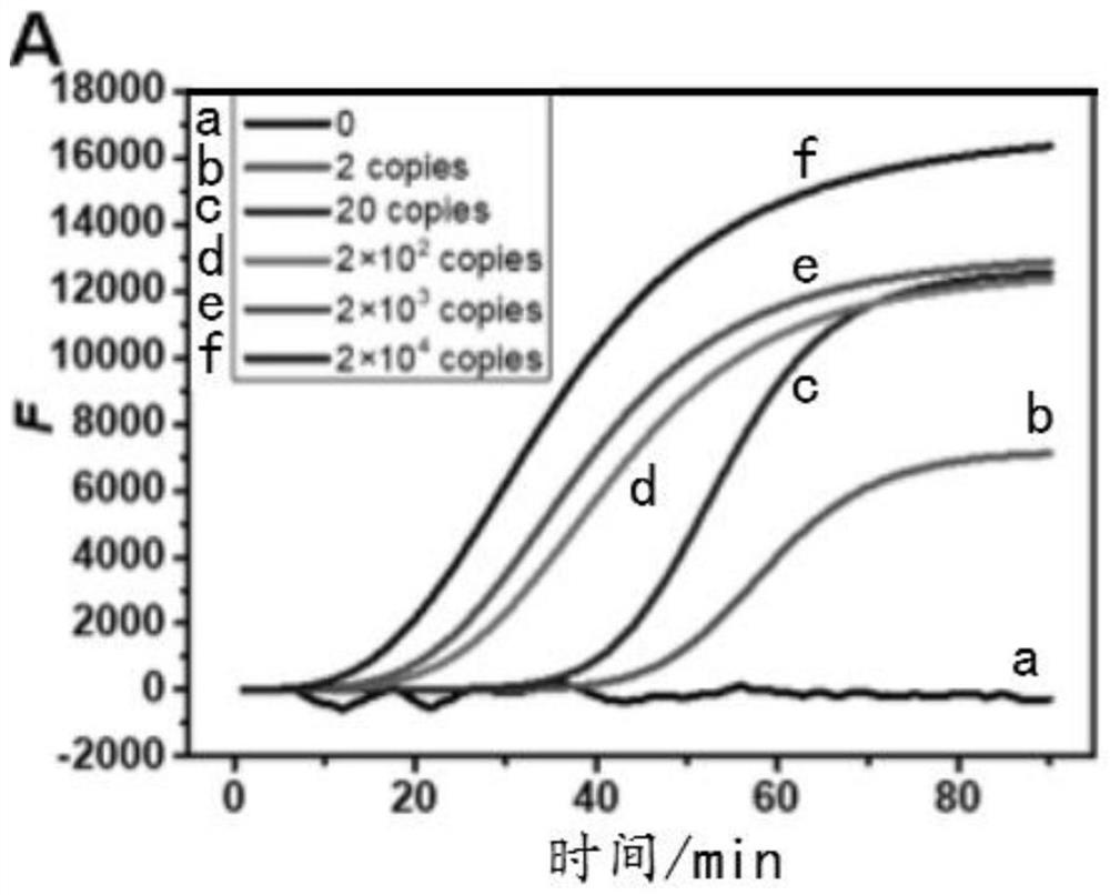 Application of pregnancy test strips in on-site point-of-care detection of hepatitis B virus drug-resistant mutant genes