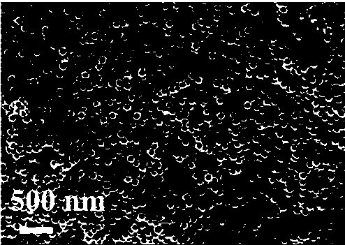 Monodisperse, porous crystalline titanium oxide nanospheres with size less than 100 nm and preparation method thereof