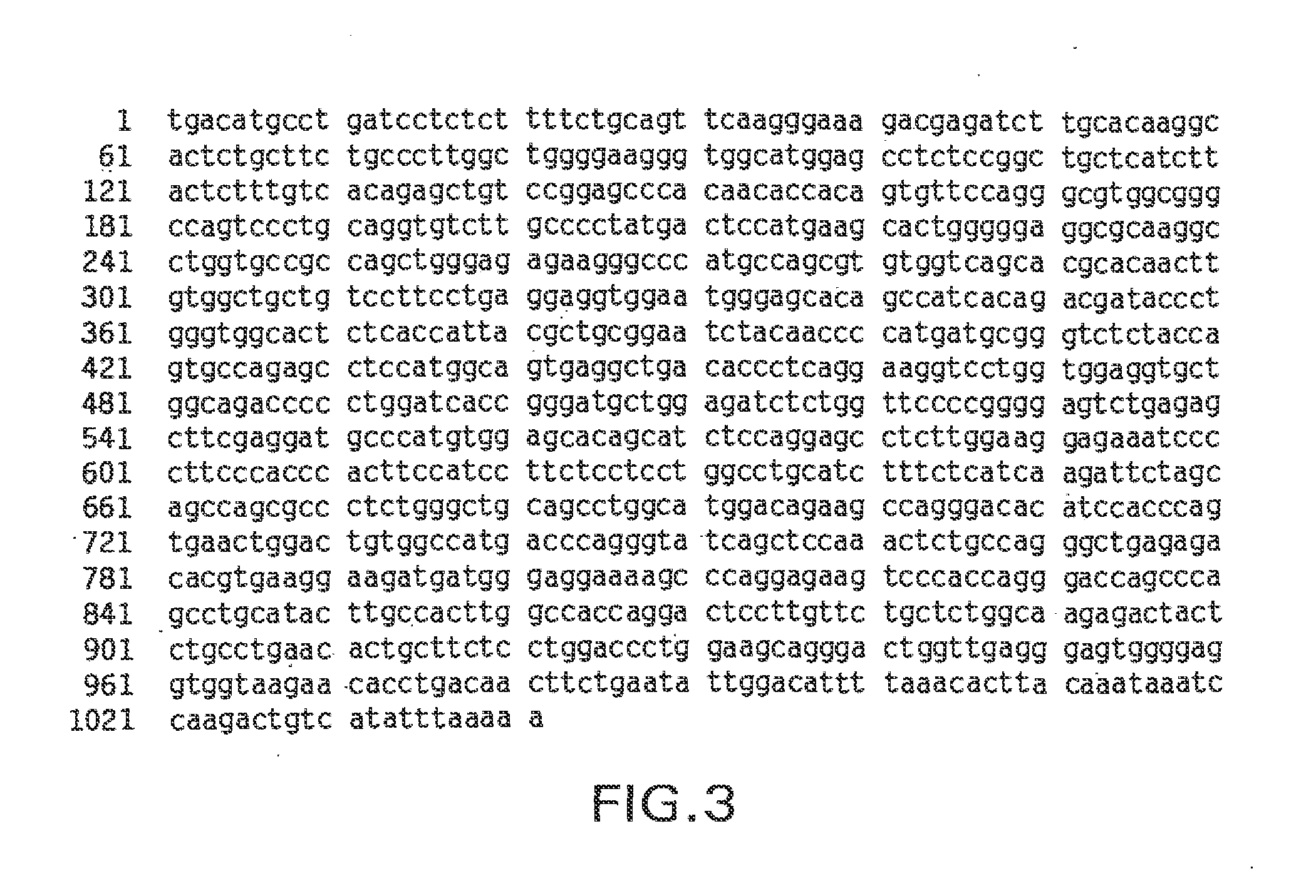 Novel receptor trem (triggering receptor expressed on myeloid cells) and uses thereof