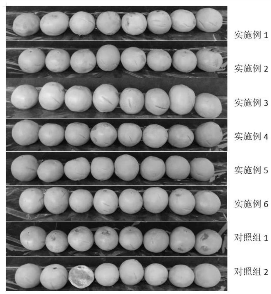 Dual-component coating film fresh keeping agent for citrus fruits and application method of dual-component coating film fresh keeping agent for citrus fruits