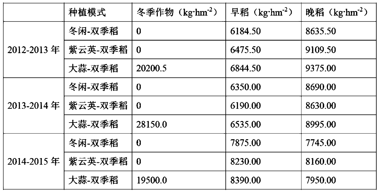 High-yield and high-efficiency double-cropping rice field planting model