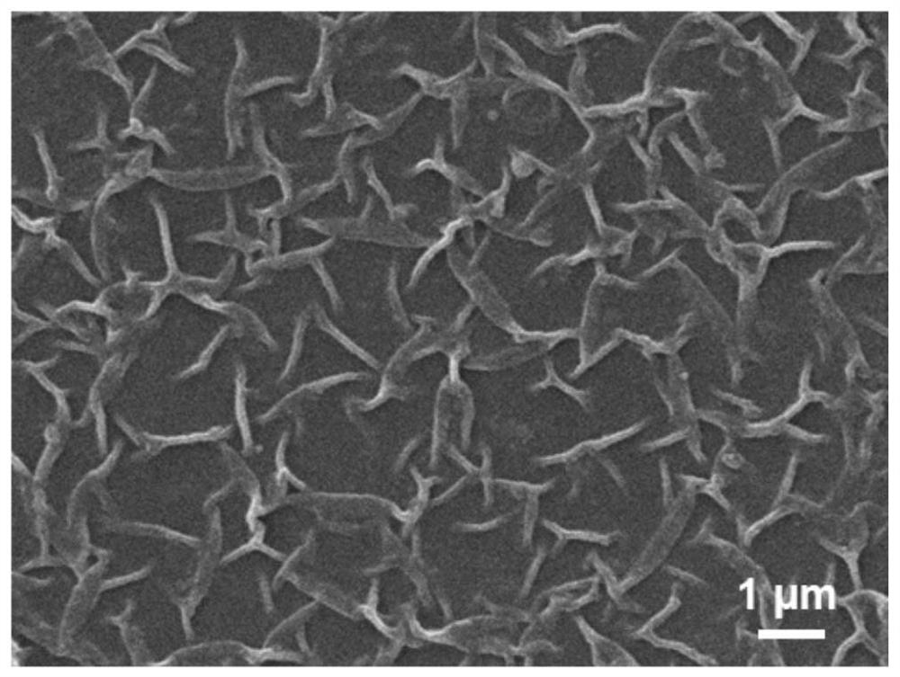 A composite nanofiltration membrane with environmental responsiveness and preparation method thereof