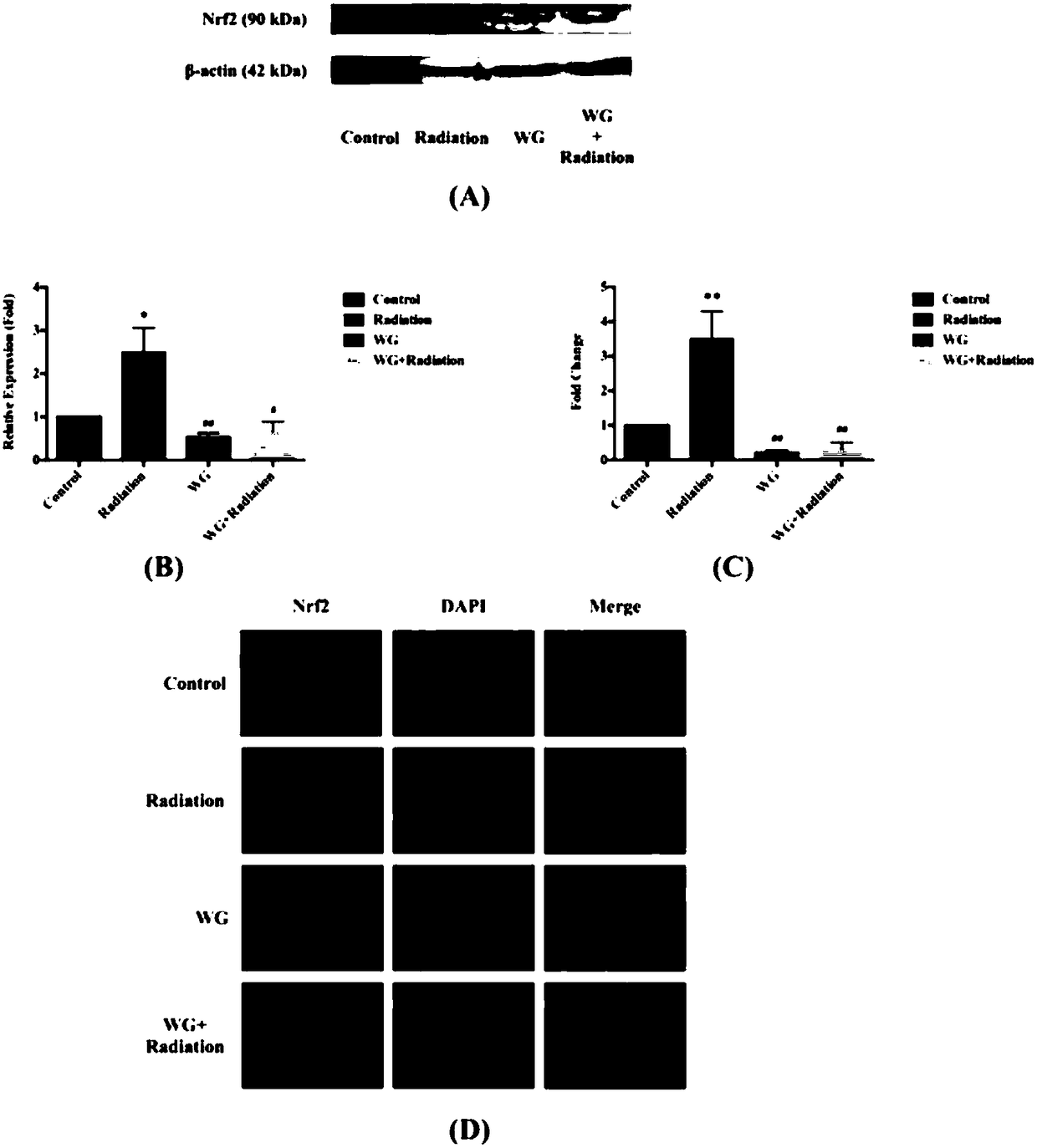 Application of wogonin in preparation of radiation sensitizer