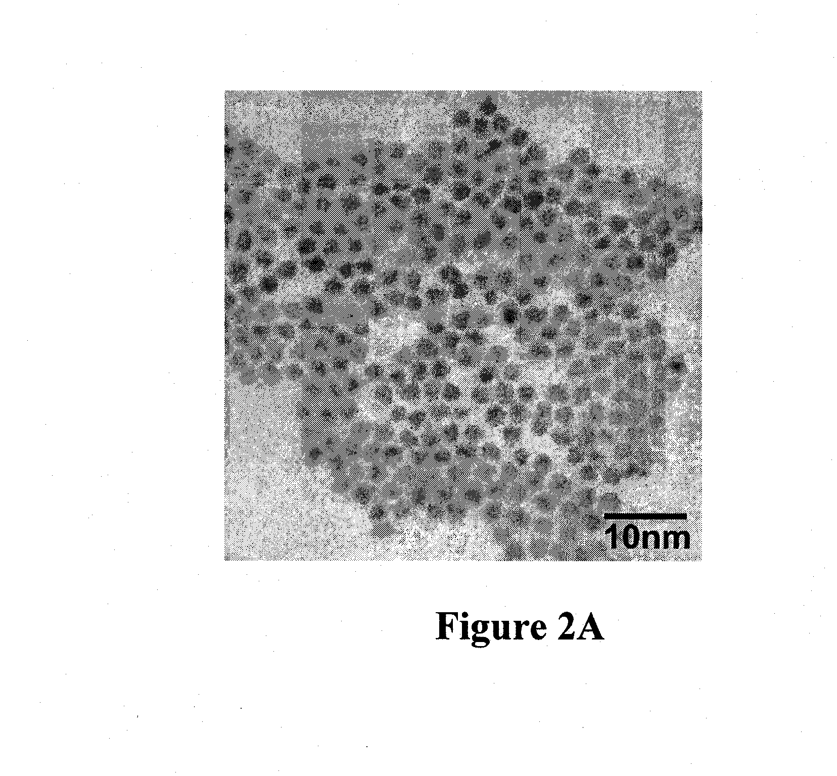 Heavily doped semiconductor nanoparticles