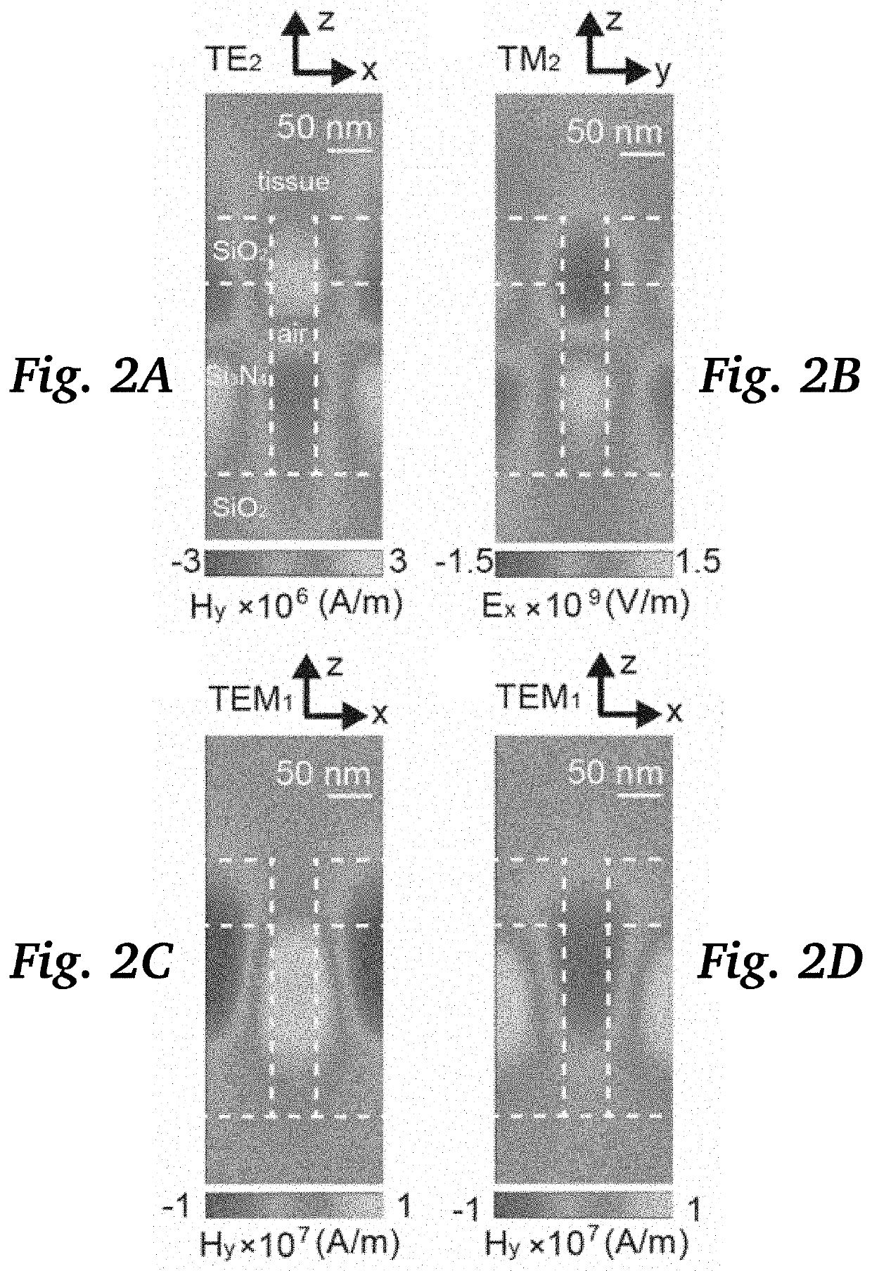 Metasurfaces for optical detection of tissue and fibrous material anisotropy