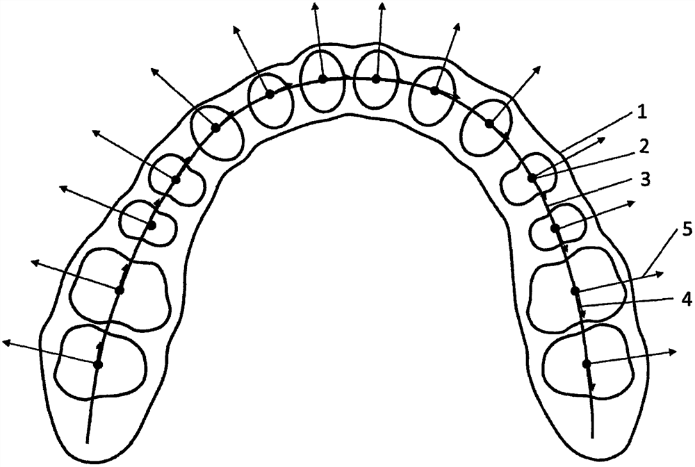 Tooth movement evaluation method under curve natural coordinate system based on alveolar bone form