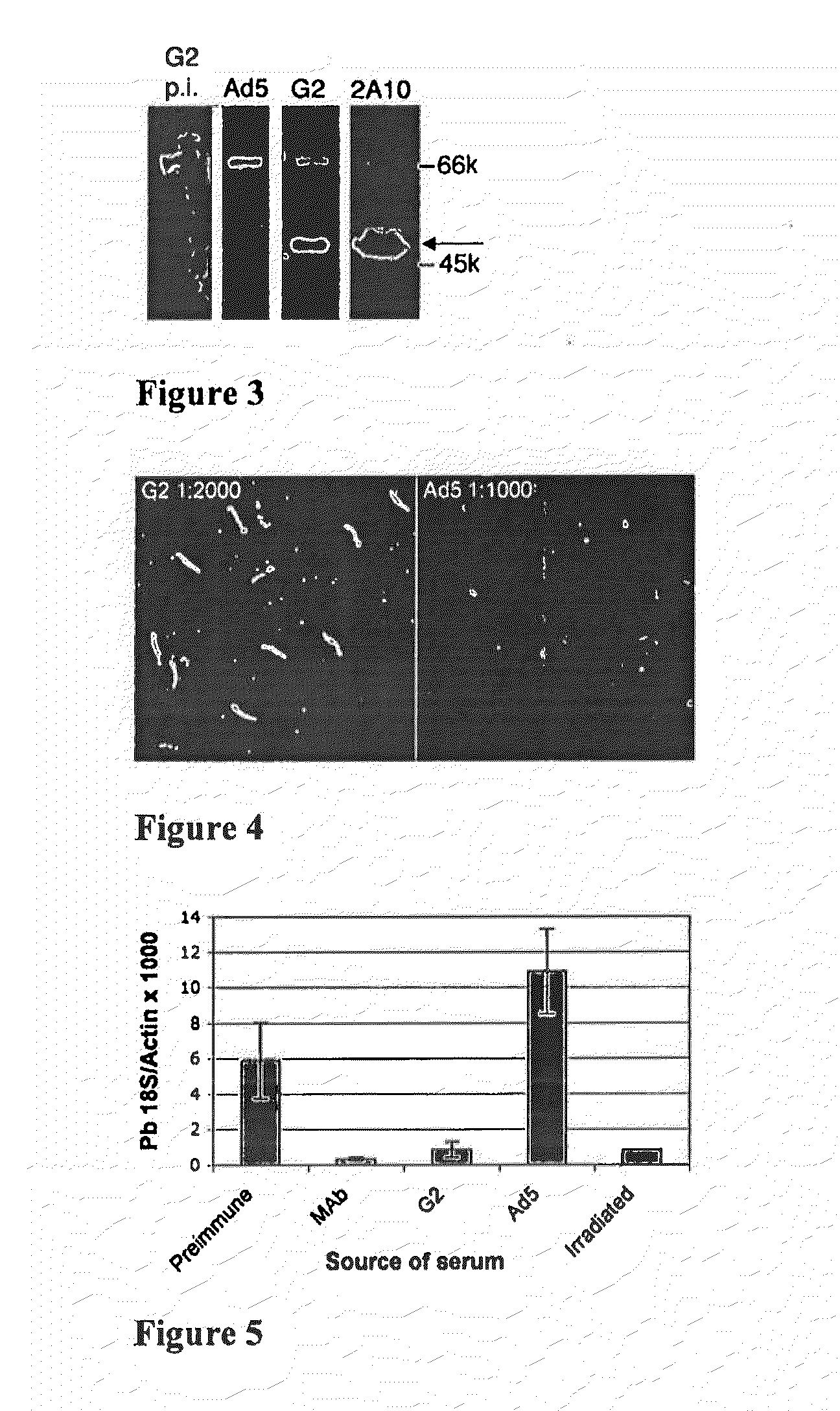 Recombinant Adenovirus Vaccines