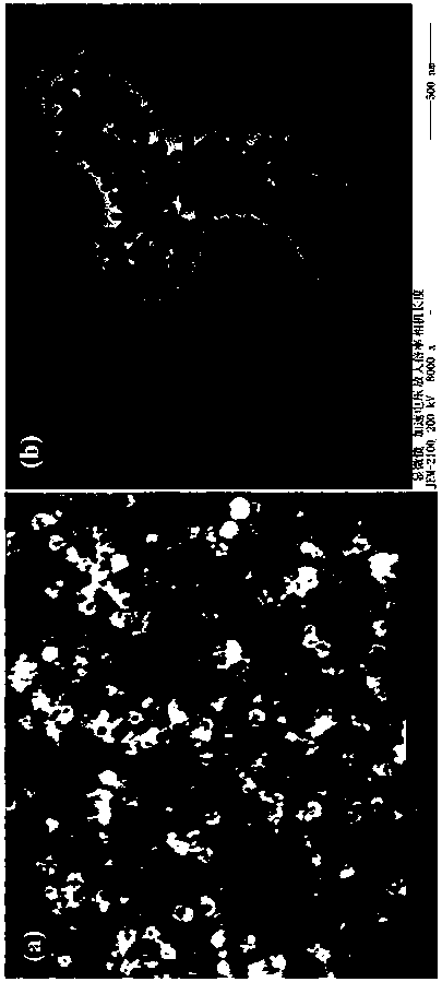 Preparation method of near-infrared light-enriched cysteine-modified bismuth sulfide hollow spheres and applications of spheres to photothermal treatment and drug release control