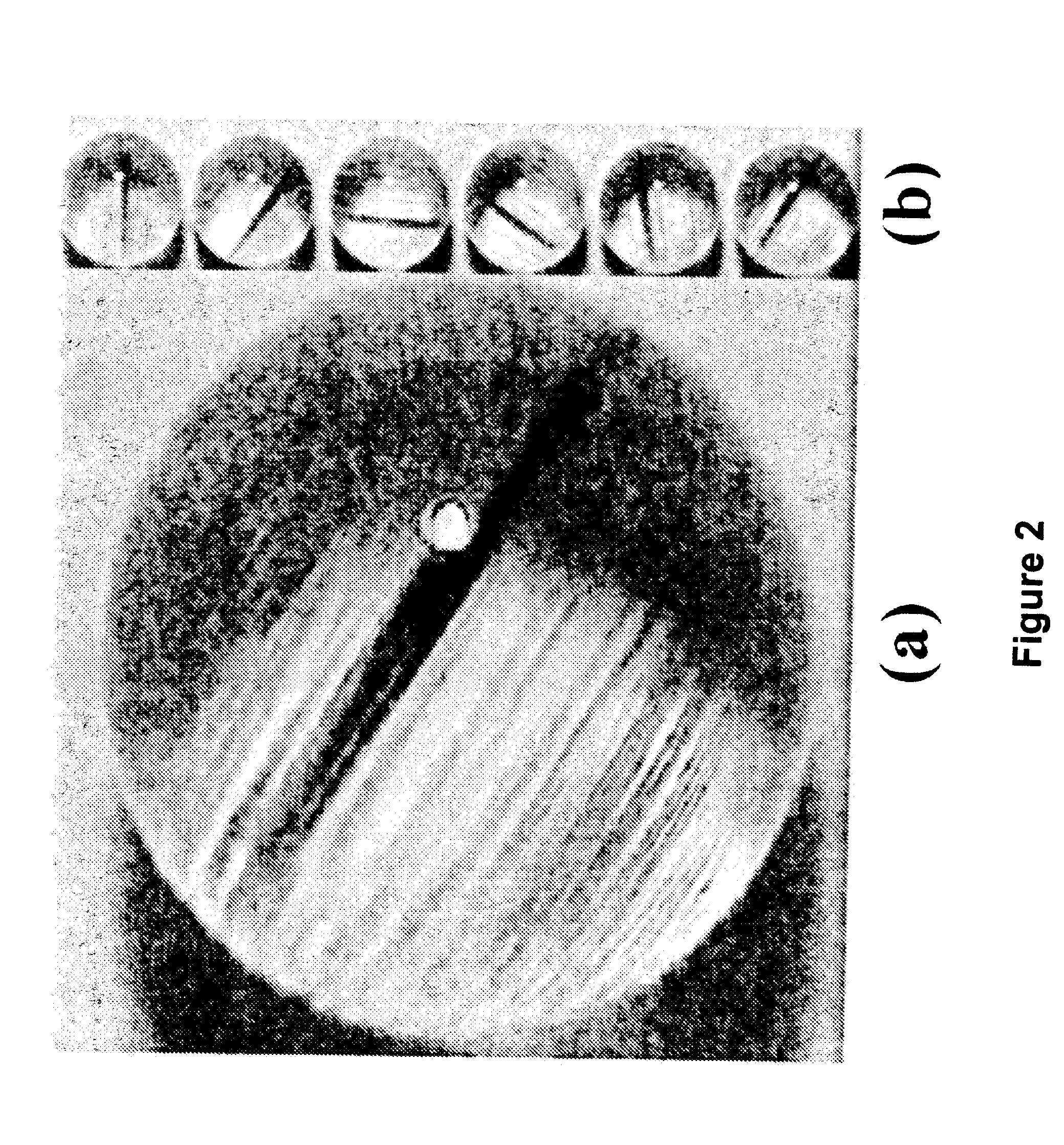 Method and apparatus for magnetic mixing in micron size droplets