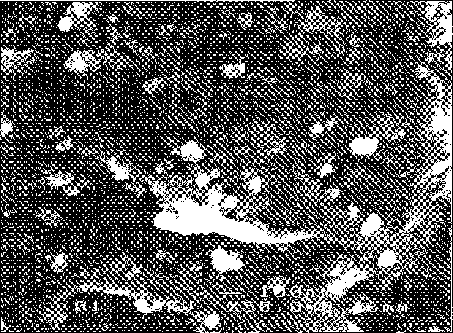 Nano ceramic composite thin polypropylene multifunctional fiber and preparing method