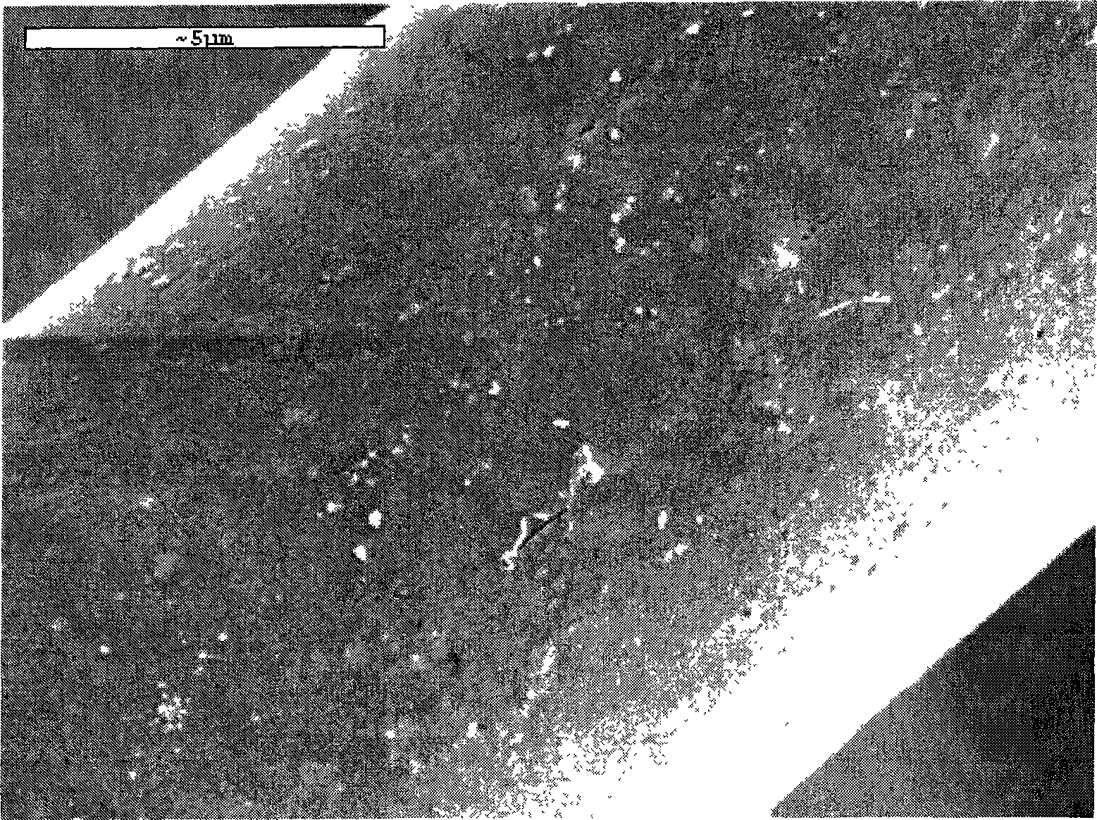 Nano ceramic composite thin polypropylene multifunctional fiber and preparing method