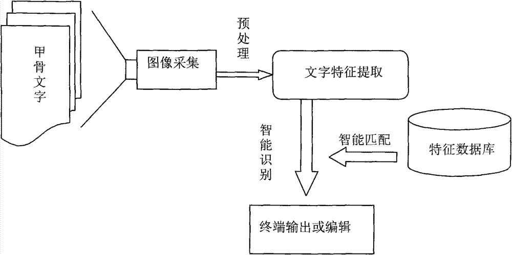 Oracle video input system and implementation method