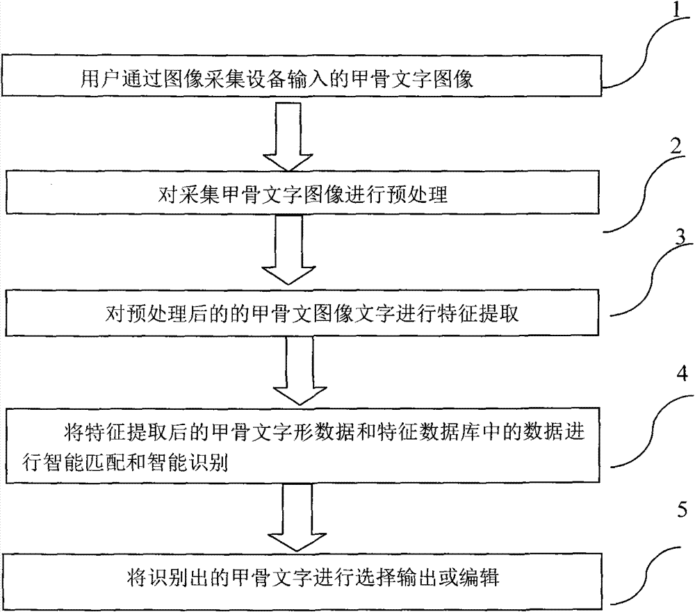 Oracle video input system and implementation method