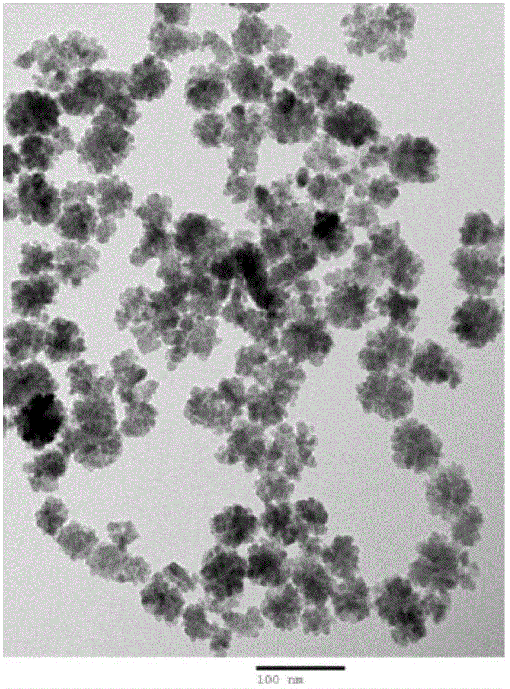 A preparation method of highly ordered mesoporous carbon-coated magnetic nanoparticles
